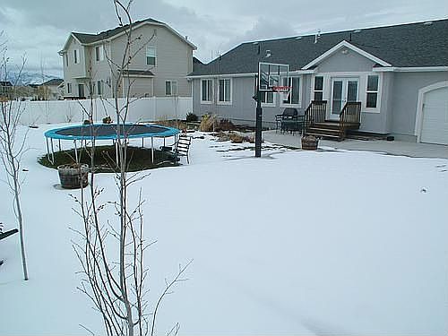 Back Yard w/basketball court