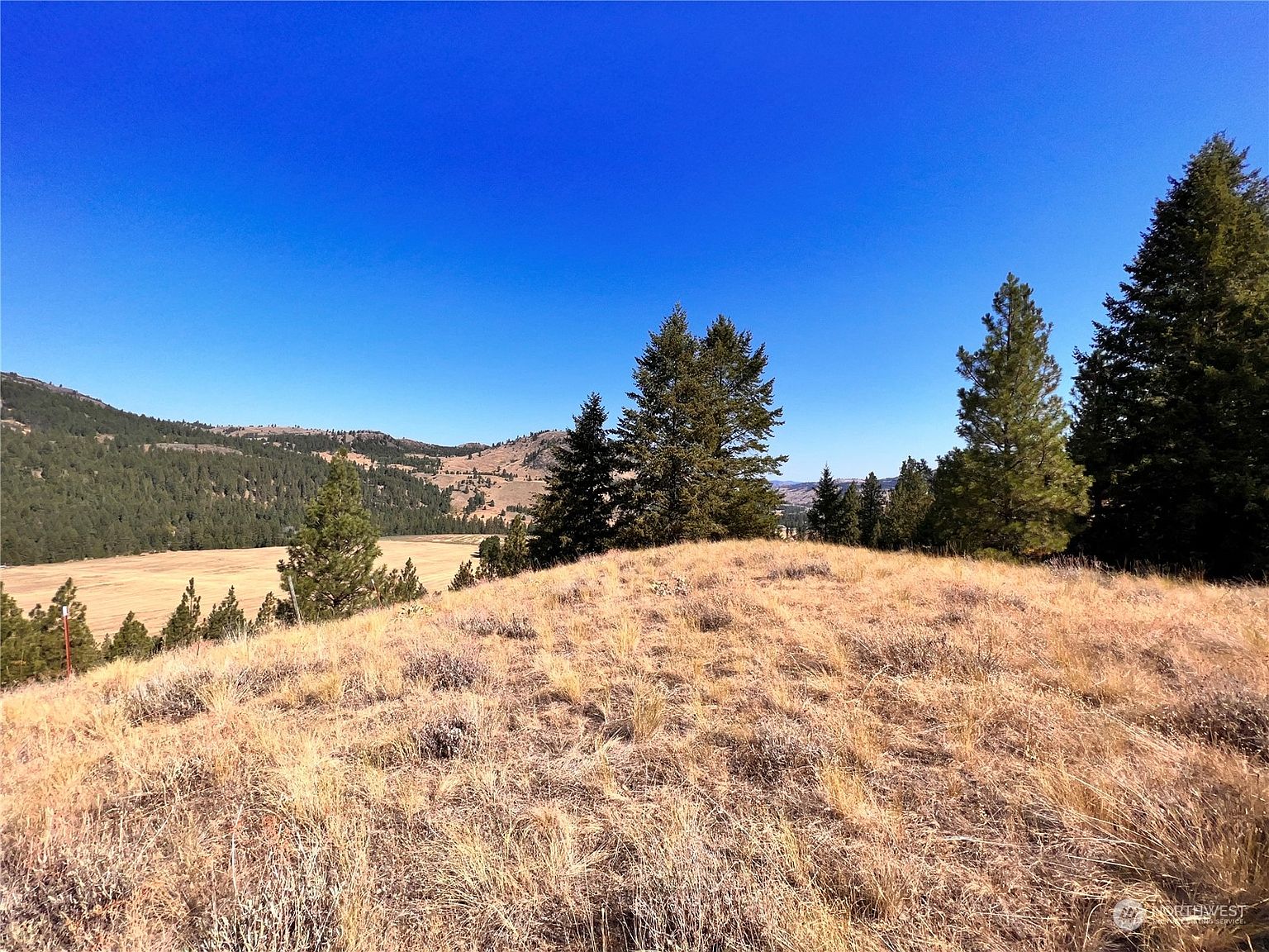 68 Jostin Lane, Malo, WA 99150 Zillow