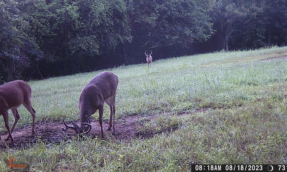 16th image of 450 County Road 28