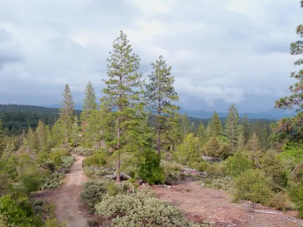 6363 Dogtown Rd, Coulterville, CA 95311