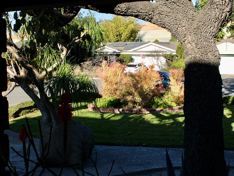 15341 Vermont St — Photo 4