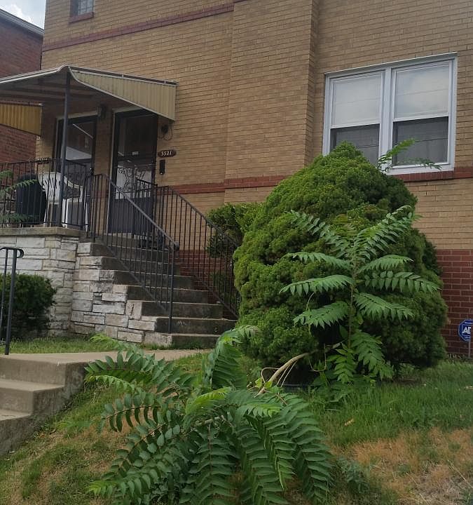Front Yard