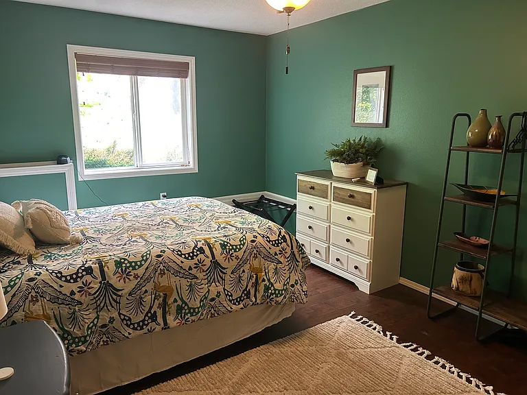 Downstairs bedroom