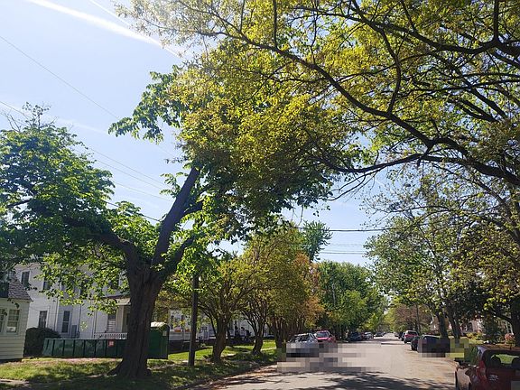 4th image of 115 Florida Ave