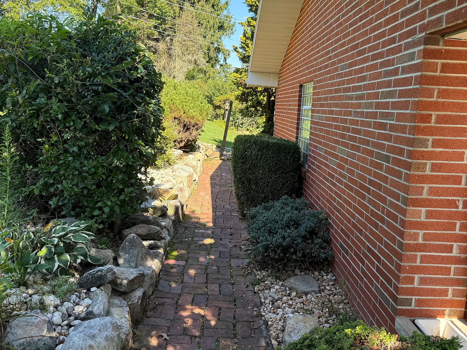 3 bed, 1248 sqft, $3,000 — Photo 4