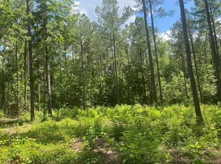 County Road 71, Waverly hall, GA 31831