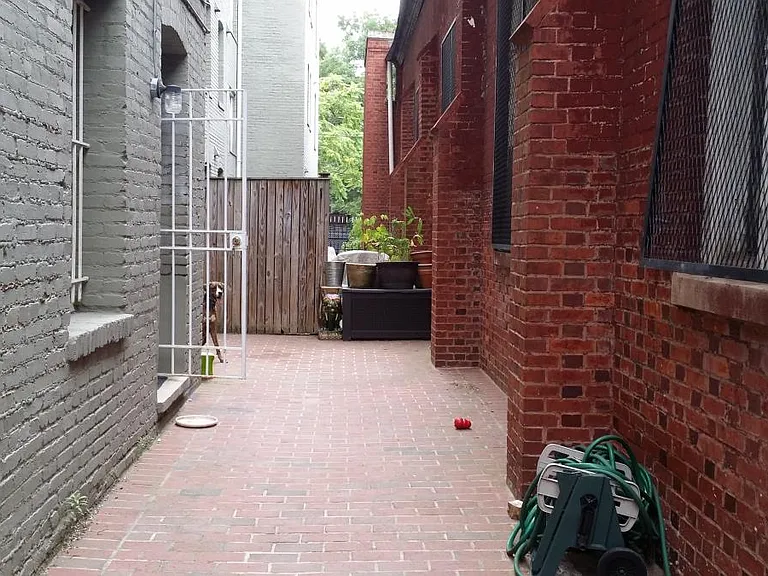Long backyard, great for hosting