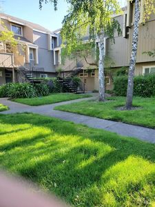 7771 Camino Colegio Dr, Rohnert Park, CA, 94928