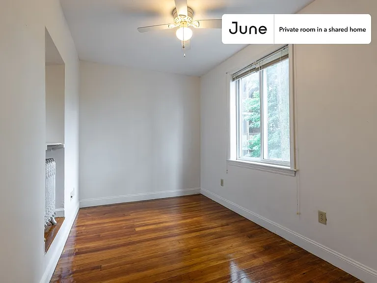 41 Egremont Rd #D — Photo 4