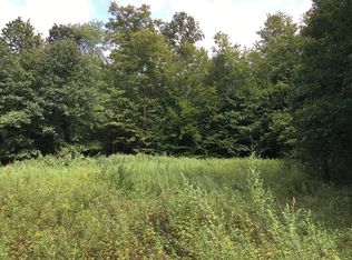 328 Lang Rd, Spencer, NY 14883