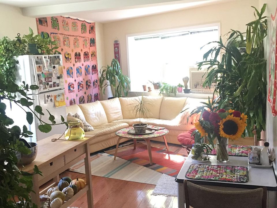 Sunny living room with western facing windows.