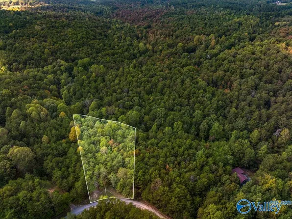 TRACT-20A Road 9002, Mentone, AL 35984