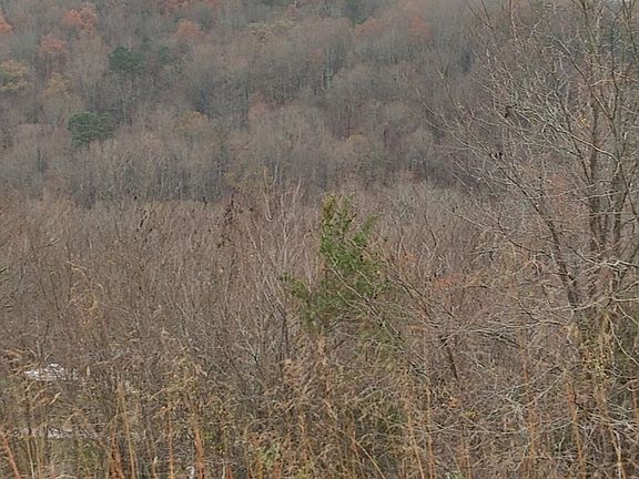 4th image of 0 Mountain Mist Dr Lot 6