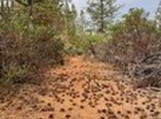 0 Fitzgerald Dr LOT 19, Forest Ranch, CA 95942