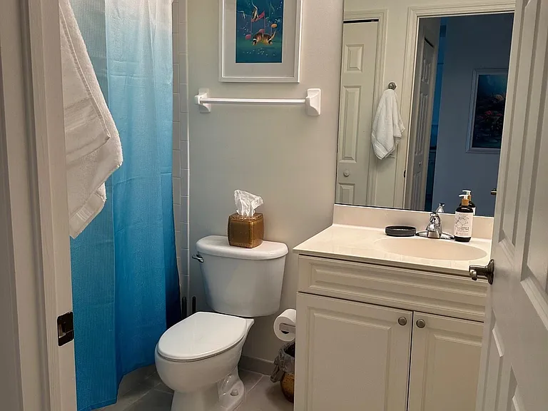 Guest Bath