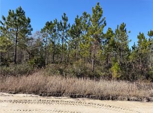 0 Elmer Thrift Rd, Waycross, GA 31503