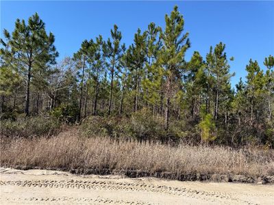 0 Elmer Thrift Rd, Waycross, GA, 31503