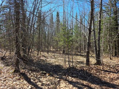 Stark Rd, Cloquet, MN, 55720