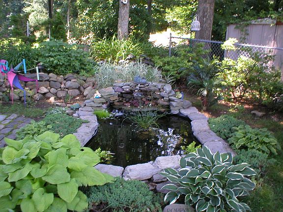 FISH POND