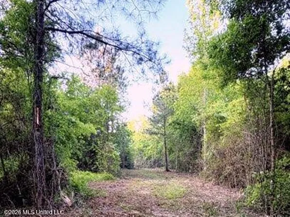 0 Darron Hodge Ln, Poplarville, MS 39470