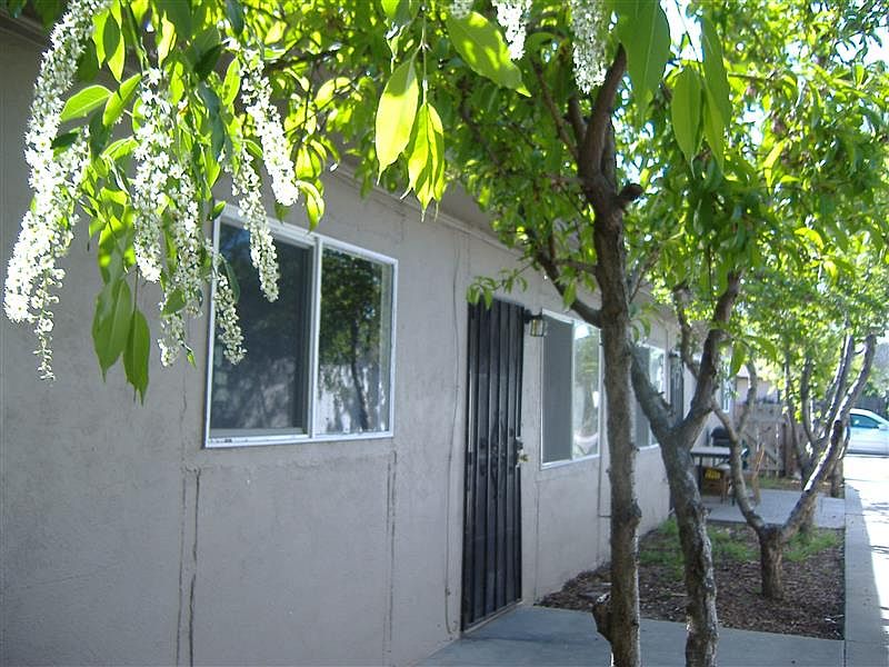1st image of 533 Angelus St APT C