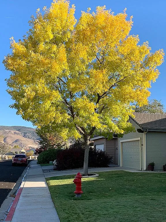 9665 Boulder Creek Ln photo 1