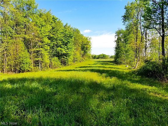 5th image of Patton Rd