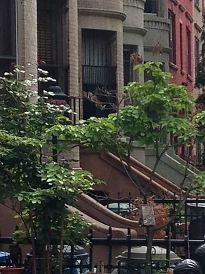 Rented by DavidWest Properties | media 44