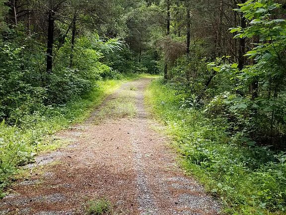 Image 5: : Middle of Driveway