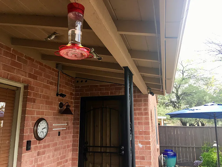 Front door porch.