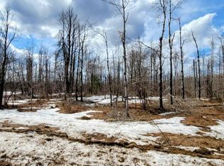 Shadyshore Pkwy, Elmira, MI 49730