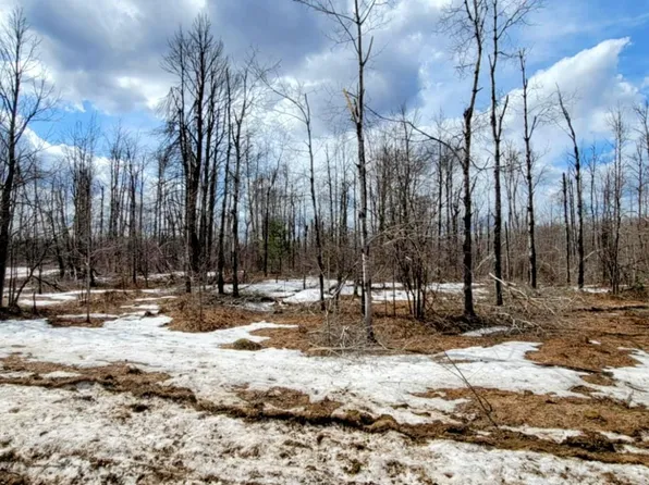 Shadyshore Pkwy, Elmira, MI 49730