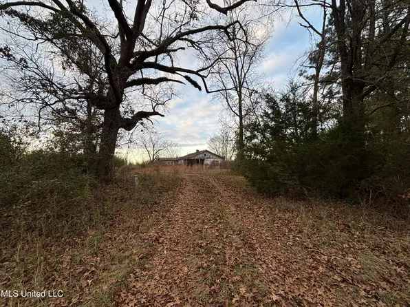 Roger Reid Rd, Conehatta, MS 39057