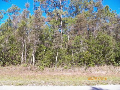 24310 Roger Dodger St, Bonita Springs, FL, 34135