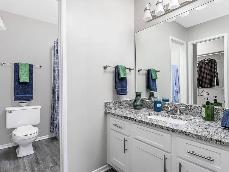 Full Bathroom View