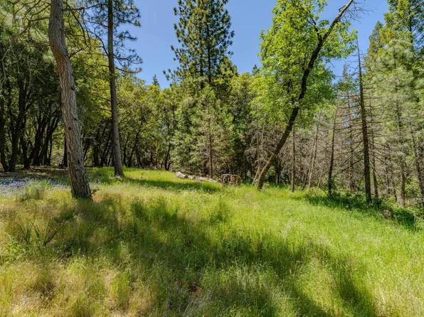 Allan Rd, Volcano, CA 95689