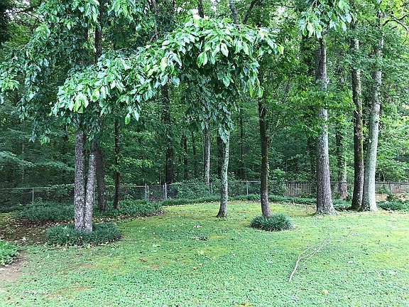 Private back wooded area.
