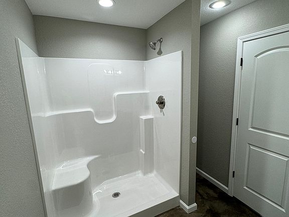 Master Bathroom walk in shower