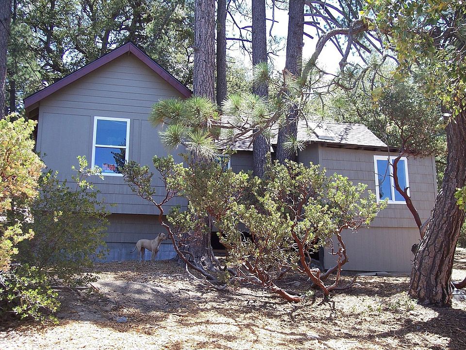 Facing the paved road