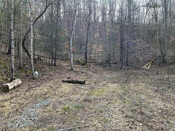 4th image of 0 Roses Creek Rd