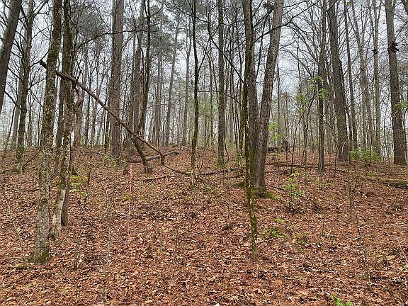 2nd image of 1241 Northwoods Dr