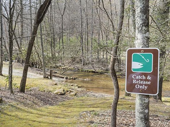 5th image of 77 Old Covered Bridge Rd