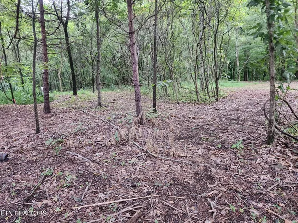 0 Black Oak Rd, Clinton, TN 37716