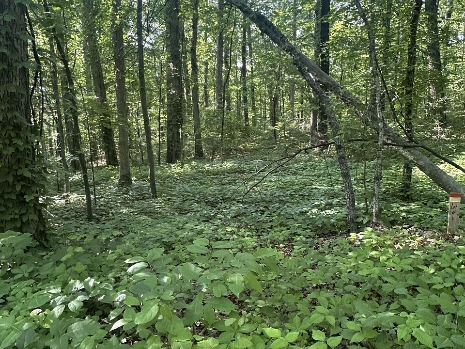 1st image of Prettiest Sunset Way Lot 4