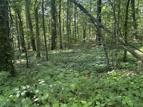Prettiest Sunset Way Lot 4, Seymour, TN 37865