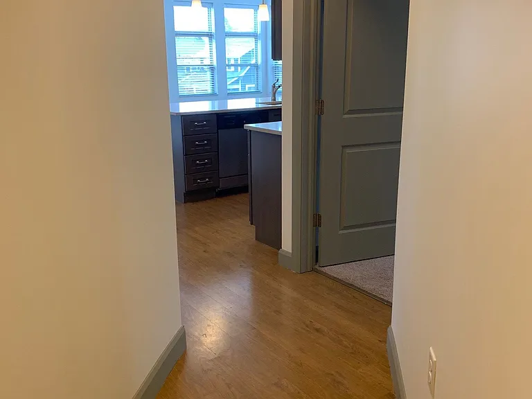 Hall entry. Has guest closet/additional storage.
