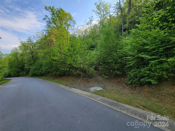 60 Settings Blvd, Black Mountain, NC 28711