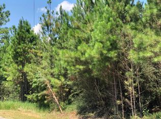 Clear Lake Road Rd LOT 18, Perkinston, MS 39573