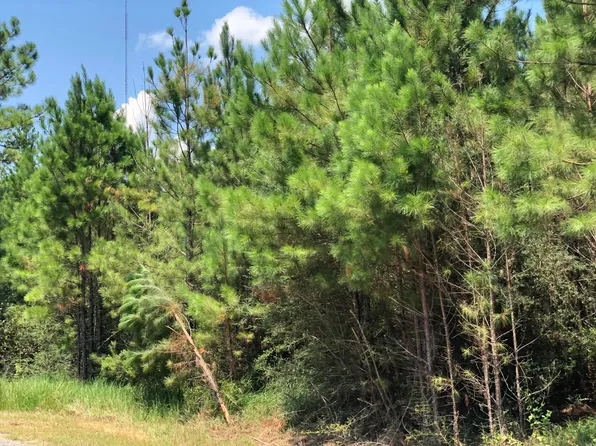 Clear Lake Road Rd Lot 18, Perkinston, MS 39573