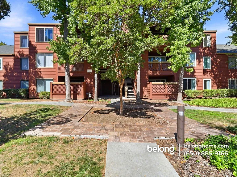 894 Catkin Ct — Photo 20